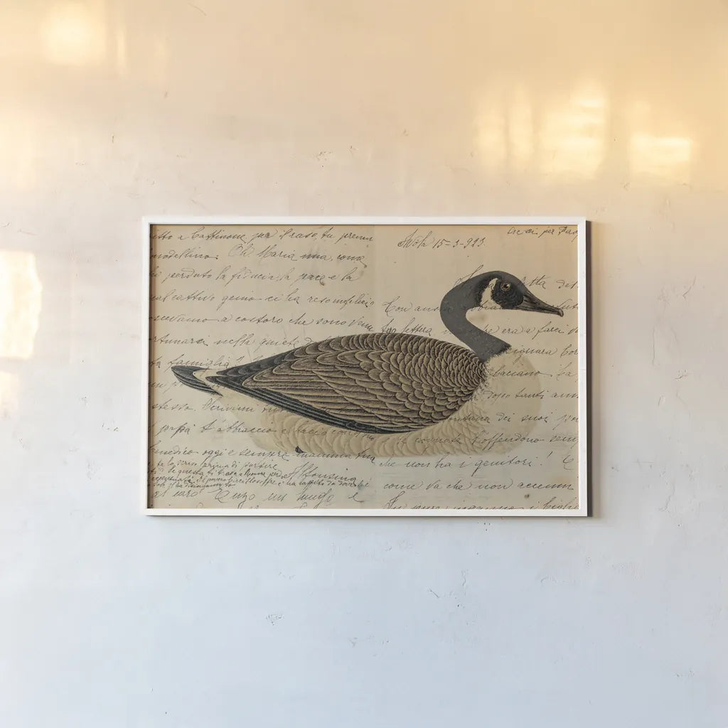 Canada Goose by Deborah Revell. shown as a paper print in a white frame. Available as a archival giclee rolled canvas, fine art paper, or poster print. SKU 101624i.