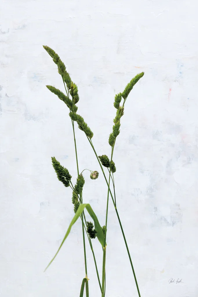 Cat Grass by Deborah Revell. SKU 93432h. Archival Giclee Fine art print for wall decor.