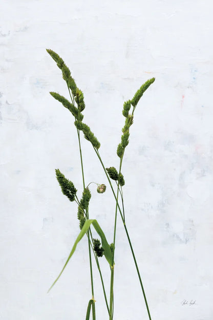Cat Grass by Deborah Revell. SKU 93432h. Archival Giclee Fine art print for wall decor.
