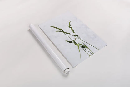 Cat Grass by Deborah Revell. shown as a rolled paper print. Available as archival giclee rolled canvas, fine art paper, or poster print. SKU 93432h.