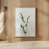 Cat Grass by Deborah Revell. shown as over sized large wall art. Available as an archival giclee rolled canvas, fine art paper, or poster print. SKU 93432h.