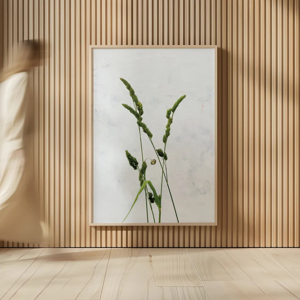 Cat Grass by Deborah Revell. shown as over sized large wall art. Available as an archival giclee rolled canvas, fine art paper, or poster print. SKU 93432h.