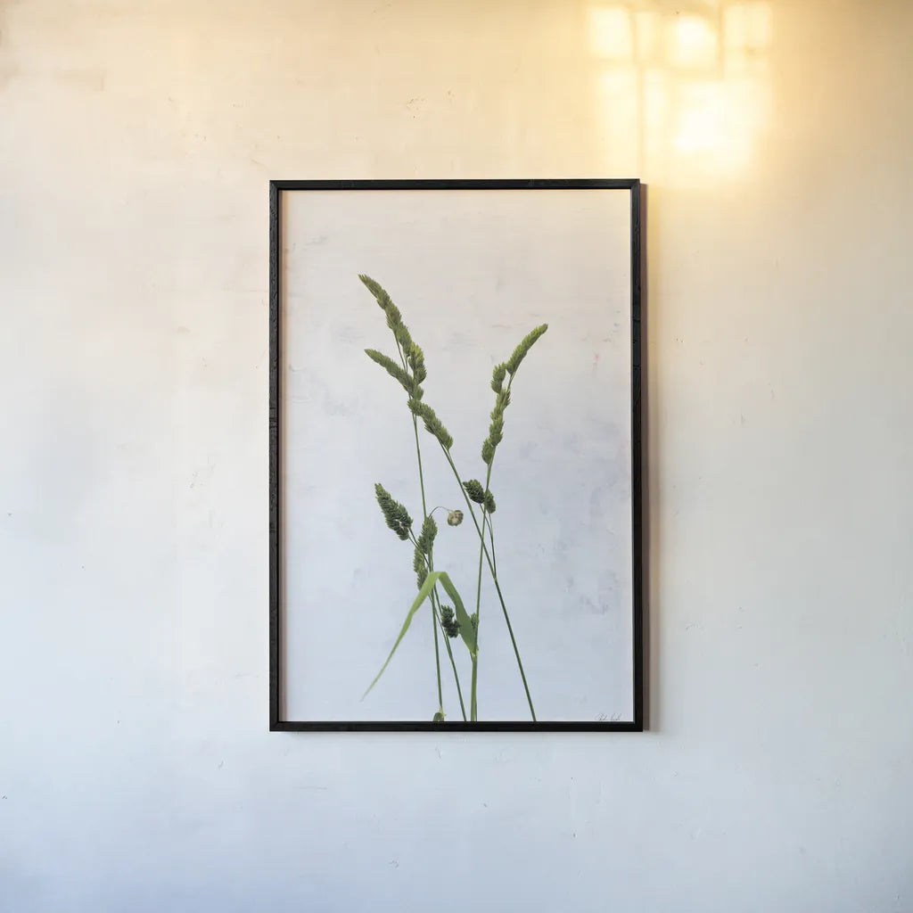 Cat Grass by Deborah Revell. shown as a paper print in a black flame. Available as a archival giclee rolled canvas, fine art paper, or poster print. SKU 93432h.