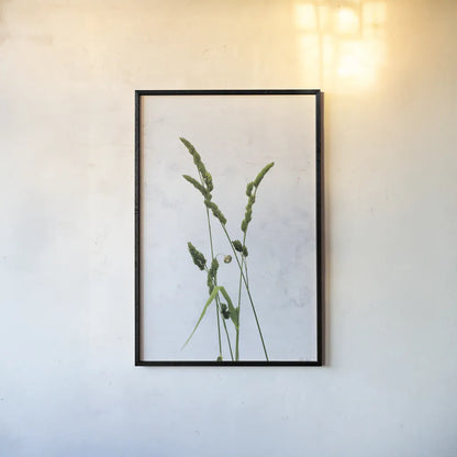 Cat Grass by Deborah Revell. shown as a paper print in a black flame. Available as a archival giclee rolled canvas, fine art paper, or poster print. SKU 93432h.
