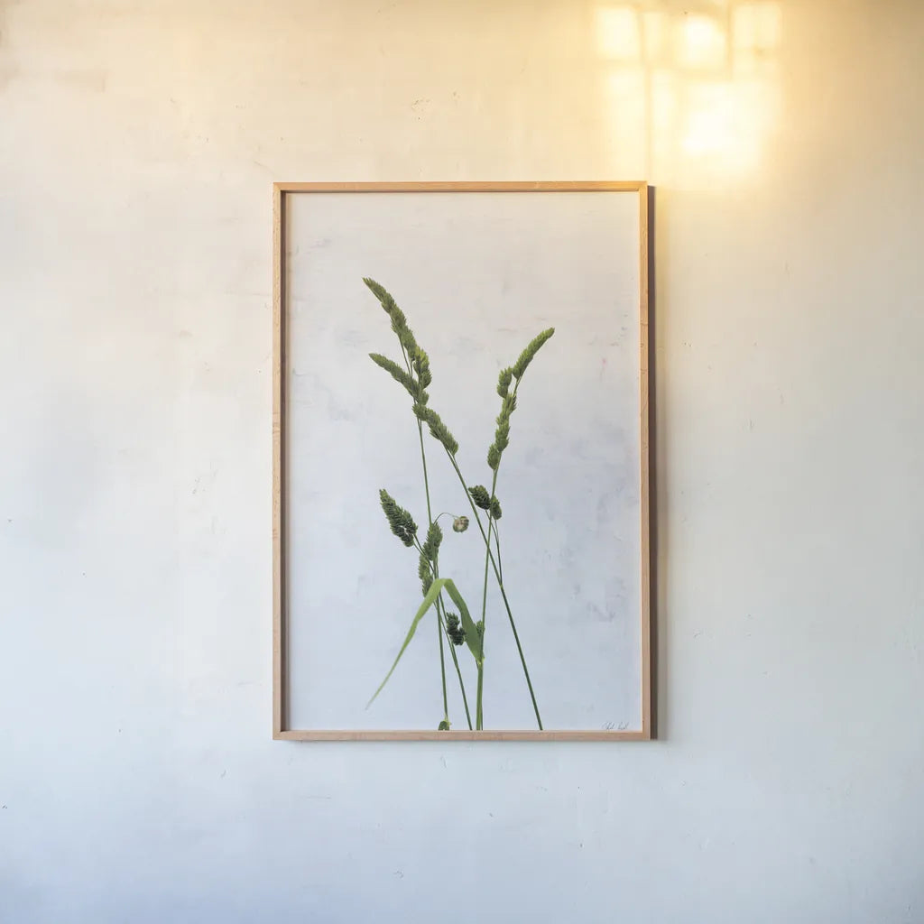 Cat Grass by Deborah Revell. shown as a paper print in a natural frame. Available as a archival giclee rolled canvas, fine art paper, or poster print. SKU 93432h.