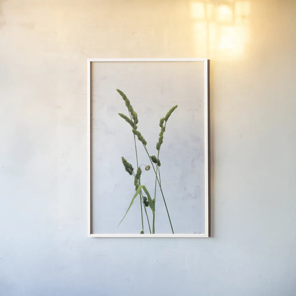 Cat Grass by Deborah Revell. shown as a paper print in a white frame. Available as a archival giclee rolled canvas, fine art paper, or poster print. SKU 93432h.