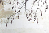 Catkins in Plaster I by Deborah Revell. SKU 103706i. Archival Giclee Fine art print for wall decor.