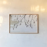 Catkins in Plaster I by Deborah Revell. shown as a paper print in a natural frame. Available as a archival giclee rolled canvas, fine art paper, or poster print. SKU 103706i.