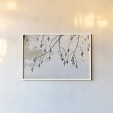 Catkins in Plaster I by Deborah Revell. shown as a paper print in a white frame. Available as a archival giclee rolled canvas, fine art paper, or poster print. SKU 103706i.