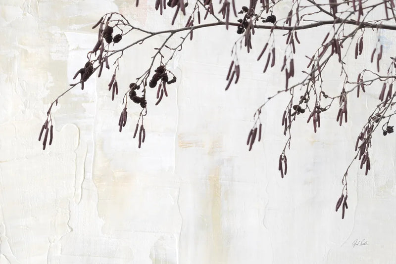 Catkins in Plaster II by Deborah Revell. SKU 103707i. Archival Giclee Fine art print for wall decor.