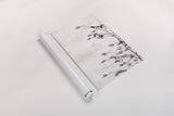 Catkins in Plaster II by Deborah Revell. shown as a rolled paper print. Available as archival giclee rolled canvas, fine art paper, or poster print. SKU 103707i.