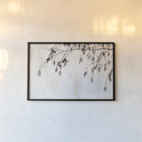 Catkins in Plaster II by Deborah Revell. shown as a paper print in a black flame. Available as a archival giclee rolled canvas, fine art paper, or poster print. SKU 103707i.