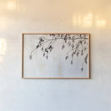 Catkins in Plaster II by Deborah Revell. shown as a paper print in a natural frame. Available as a archival giclee rolled canvas, fine art paper, or poster print. SKU 103707i.