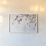 Catkins in Plaster II by Deborah Revell. shown as a paper print in a white frame. Available as a archival giclee rolled canvas, fine art paper, or poster print. SKU 103707i.