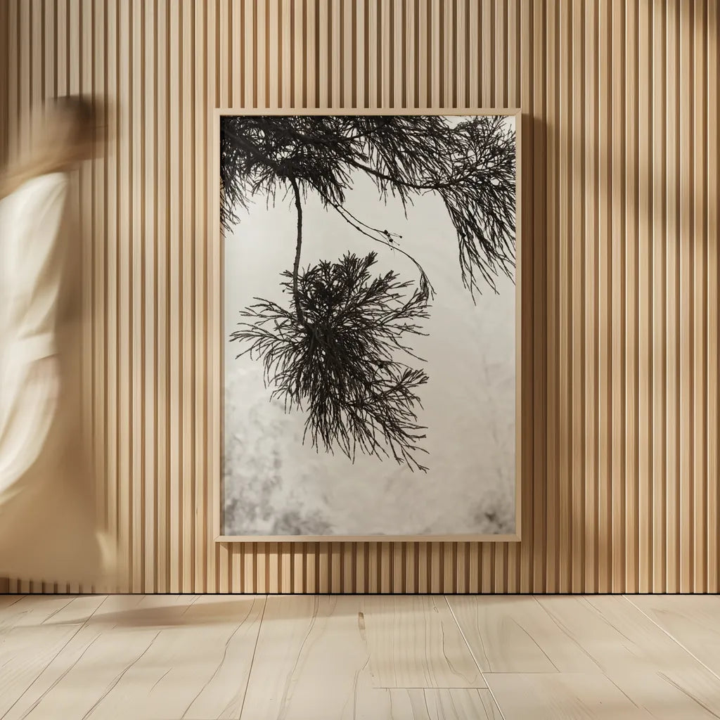 Cedar by Deborah Revell. shown as over sized large wall art. Available as an archival giclee rolled canvas, fine art paper, or poster print. SKU 102080h.