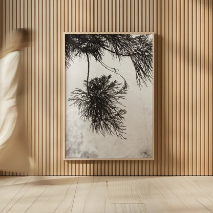 Cedar by Deborah Revell. shown as over sized large wall art. Available as an archival giclee rolled canvas, fine art paper, or poster print. SKU 102080h.