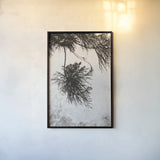 Cedar by Deborah Revell. shown as a paper print in a black flame. Available as a archival giclee rolled canvas, fine art paper, or poster print. SKU 102080h.