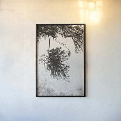 Cedar by Deborah Revell. shown as a paper print in a black flame. Available as a archival giclee rolled canvas, fine art paper, or poster print. SKU 102080h.