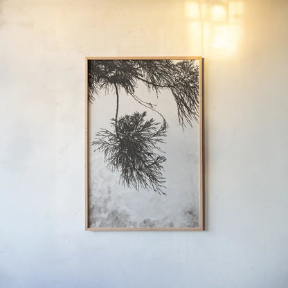 Cedar by Deborah Revell. shown as a paper print in a natural frame. Available as a archival giclee rolled canvas, fine art paper, or poster print. SKU 102080h.