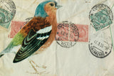 Chaffinch by Deborah Revell. SKU 104182i. Archival Giclee Fine art print for wall decor.