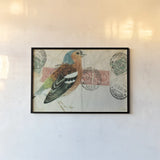 Chaffinch by Deborah Revell. shown as a paper print in a black flame. Available as a archival giclee rolled canvas, fine art paper, or poster print. SKU 104182i.