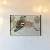 Chaffinch by Deborah Revell. shown as a paper print in a white frame. Available as a archival giclee rolled canvas, fine art paper, or poster print. SKU 104182i.