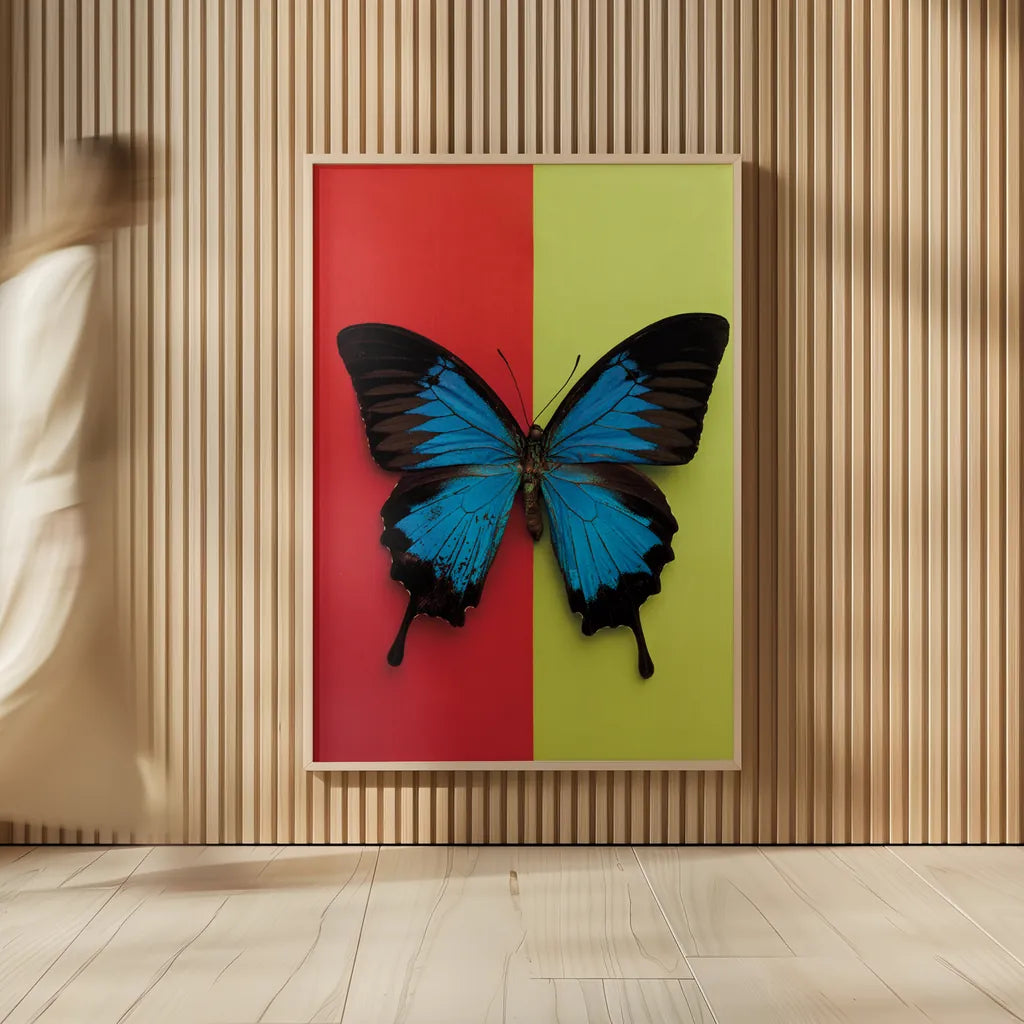 Chromatic Butterfly I by Deborah Revell. shown as over sized large wall art. Available as an archival giclee rolled canvas, fine art paper, or poster print. SKU 96043h.