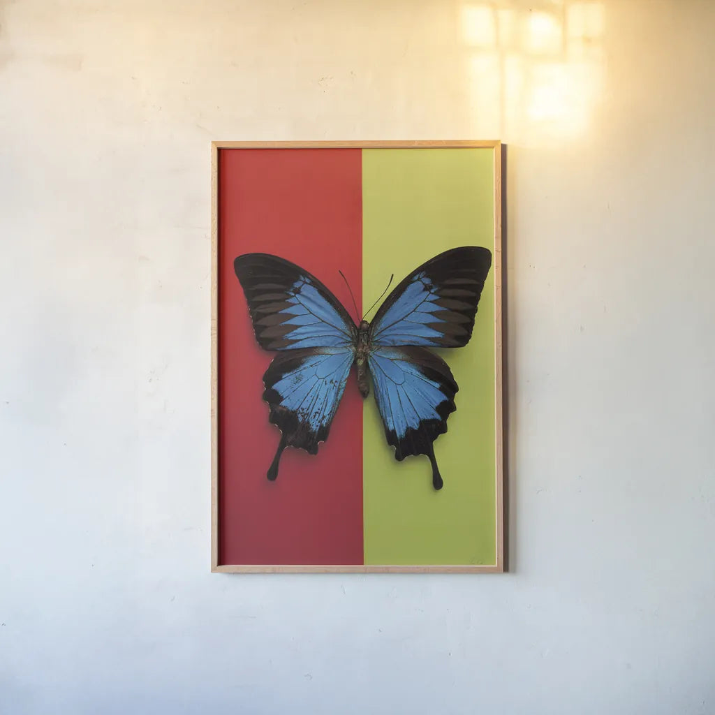 Chromatic Butterfly I by Deborah Revell. shown as a paper print in a natural frame. Available as a archival giclee rolled canvas, fine art paper, or poster print. SKU 96043h.