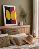 Chromatic Butterfly II by Deborah Revell. shown as a paper print in a natural frame. Available as a archival giclee rolled canvas, fine art paper, or poster print. SKU 96044h.