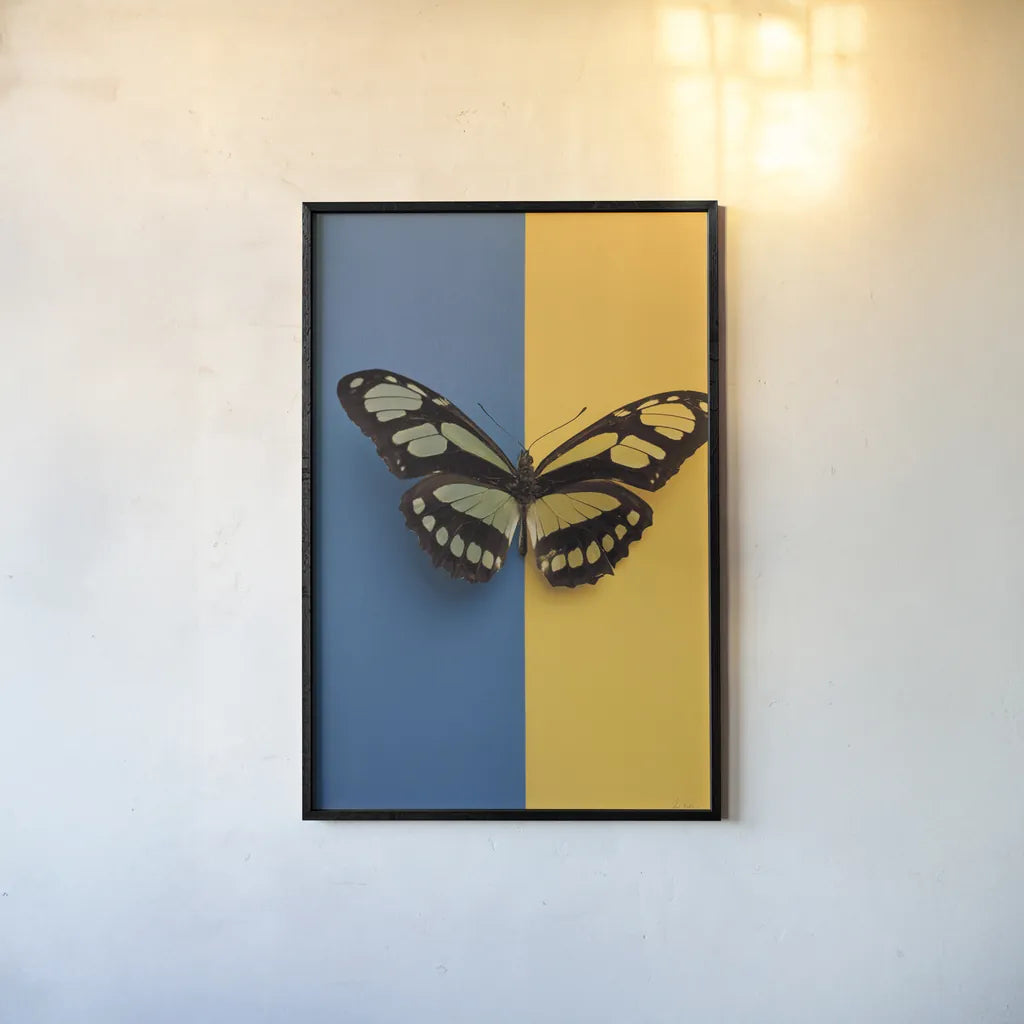 Chromatic Butterfly III by Deborah Revell. shown as a paper print in a black flame. Available as a archival giclee rolled canvas, fine art paper, or poster print. SKU 96045h.