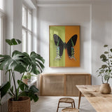 Chromatic Butterfly IV by Deborah Revell. shown as a print in a natural wood frame in a dining room. Available as a archival giclee rolled canvas, fine art paper, or poster print. SKU 96046h.
