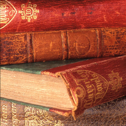 Close Text II by Deborah Revell. SKU 96915a. Archival Giclee Fine art print for wall decor.