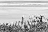 Coastal Fence I BW by Deborah Revell. SKU 102395i. Archival Giclee Fine art print for wall decor.