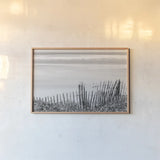 Coastal Fence I BW by Deborah Revell. shown as a paper print in a natural frame. Available as a archival giclee rolled canvas, fine art paper, or poster print. SKU 102395i.