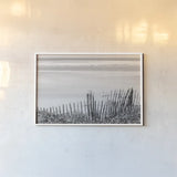 Coastal Fence I BW by Deborah Revell. shown as a paper print in a white frame. Available as a archival giclee rolled canvas, fine art paper, or poster print. SKU 102395i.