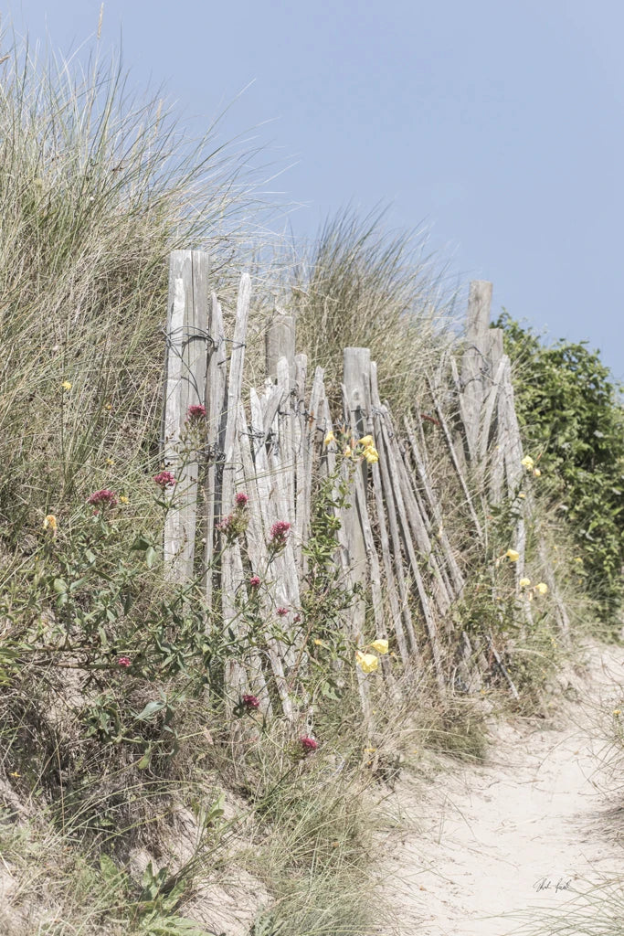 Coastal Fence II by Deborah Revell
