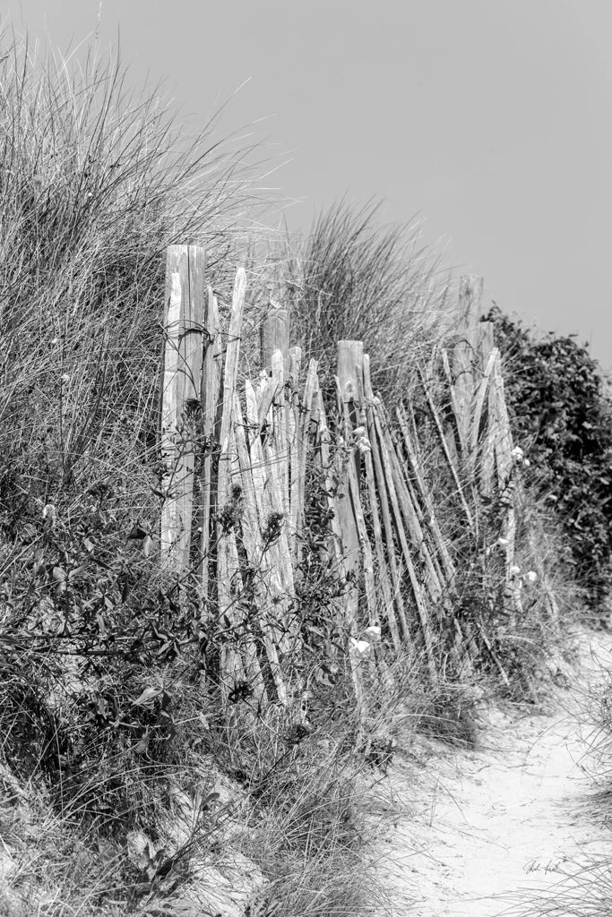 Coastal Fence II BW by Deborah Revell