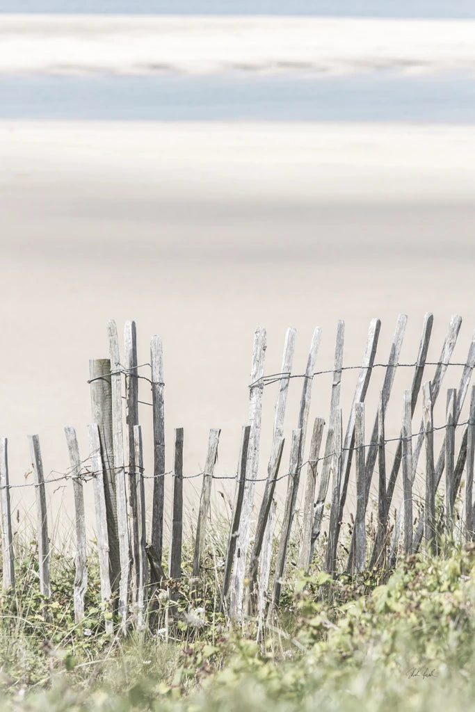 Coastal Fence III by Deborah Revell