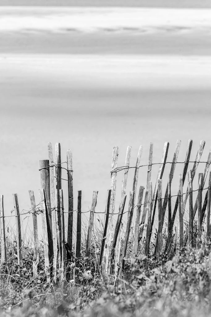 Coastal Fence III BW by Deborah Revell