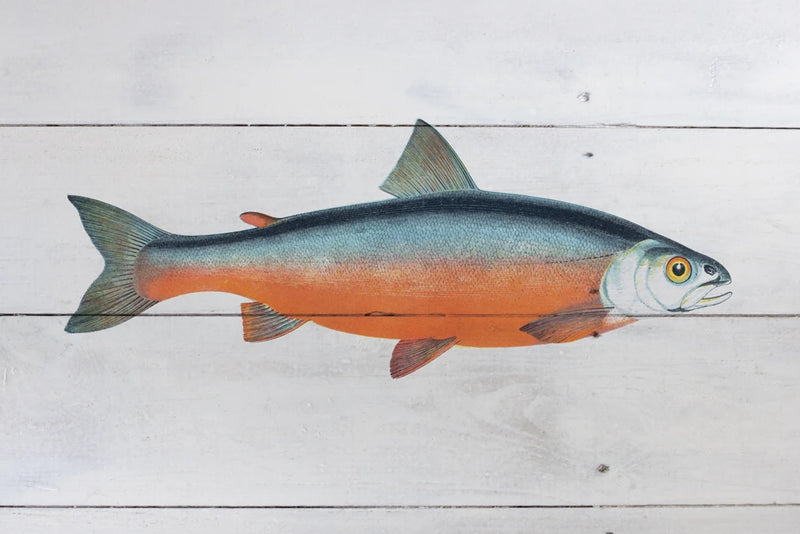 Coles Char on Wood by Deborah Revell