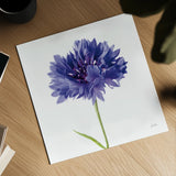 Cornflower by Deborah Revell. Shown as a detailed flat fine art print, highlighting archival giclee quality. Available as an archival giclee rolled canvas, fine art paper, or poster print. SKU 104463a.