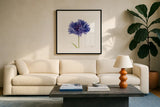 Cornflower by Deborah Revell. Displayed in a glass frame with matte in a clean modern living room. Available as an archival giclee rolled canvas, fine art paper, or poster print. SKU 104463a.