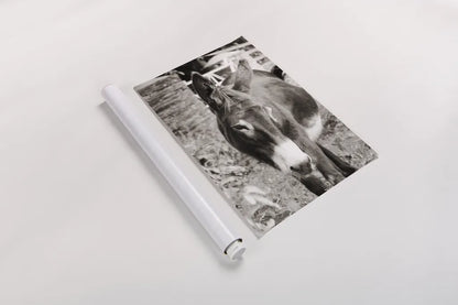 Cottage Donkey I by Deborah Revell. shown as a rolled paper print. Available as archival giclee rolled canvas, fine art paper, or poster print. SKU 100059h.