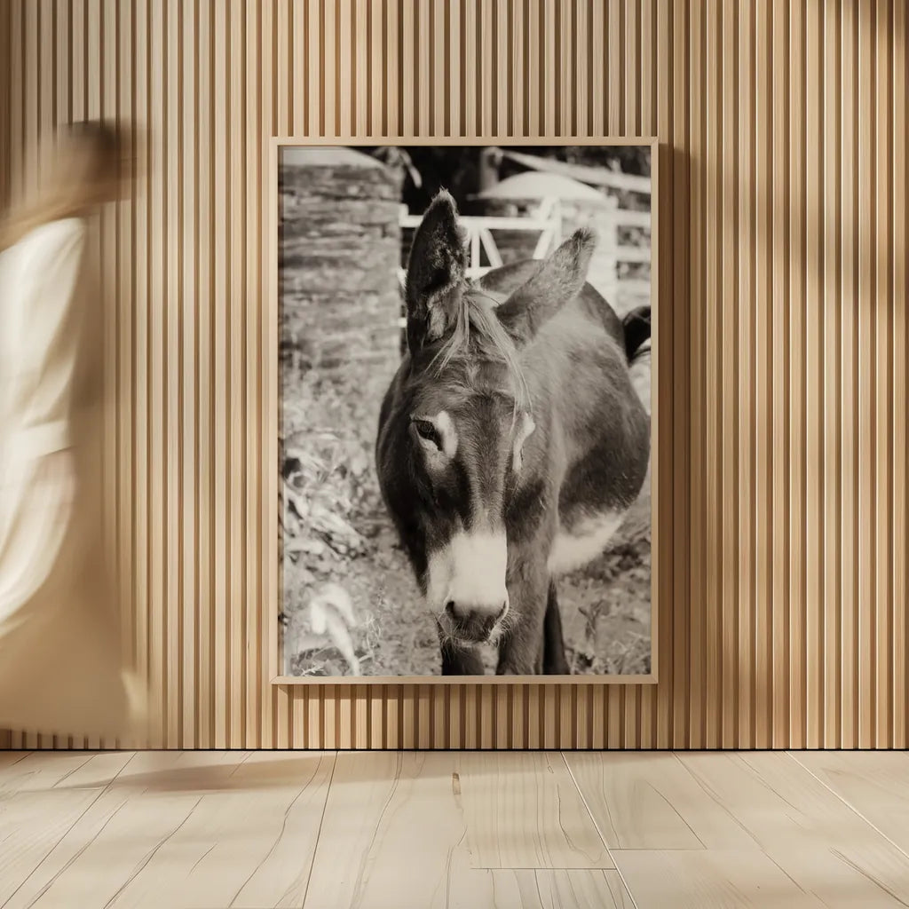 Cottage Donkey I by Deborah Revell. shown as over sized large wall art. Available as an archival giclee rolled canvas, fine art paper, or poster print. SKU 100059h.