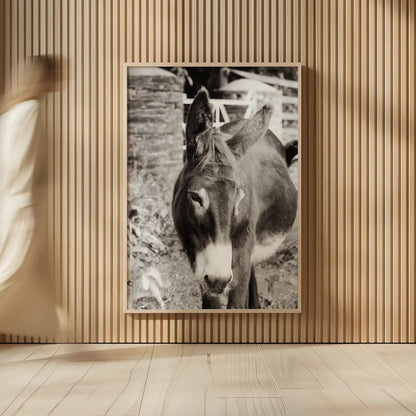 Cottage Donkey I by Deborah Revell. shown as over sized large wall art. Available as an archival giclee rolled canvas, fine art paper, or poster print. SKU 100059h.