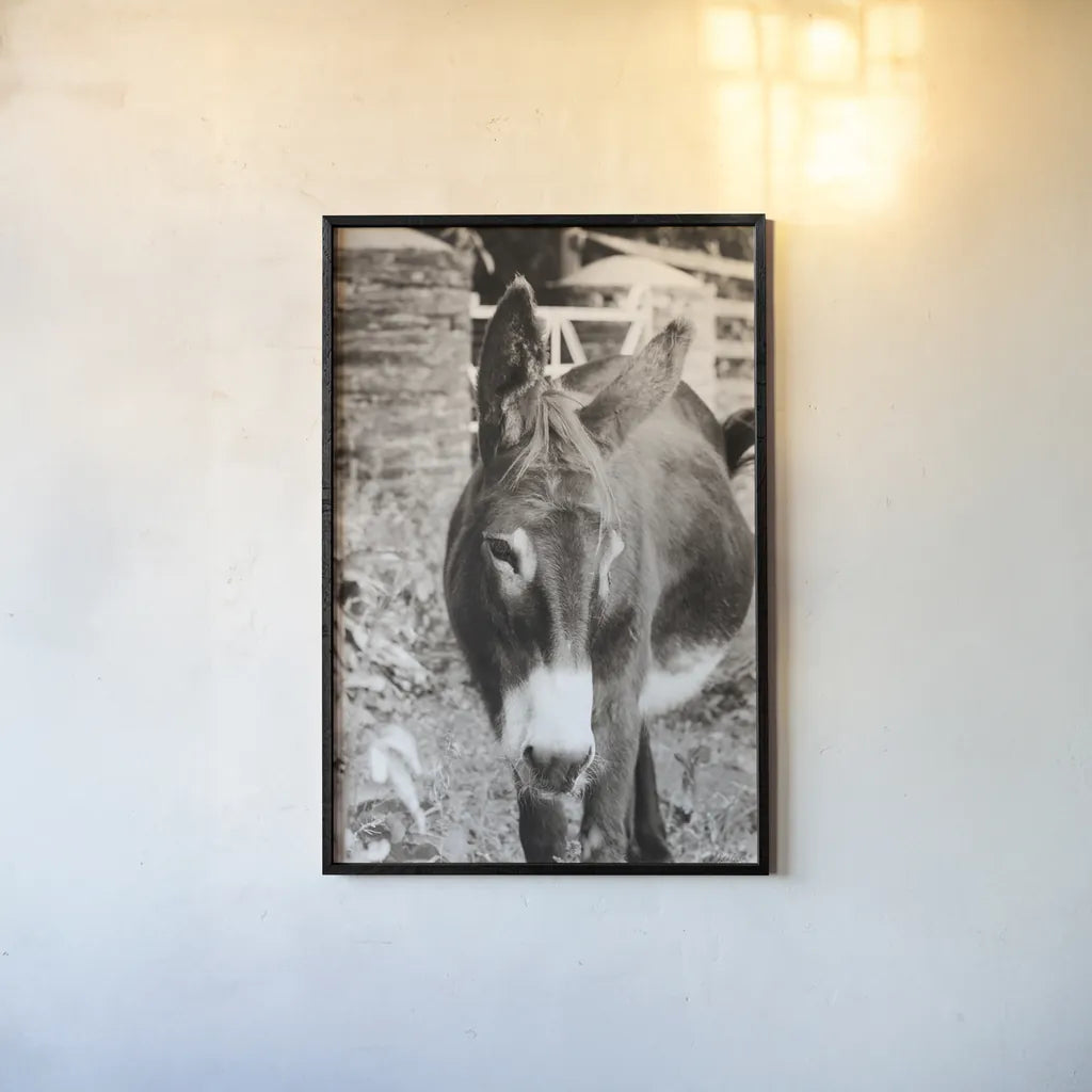 Cottage Donkey I by Deborah Revell. shown as a paper print in a black flame. Available as a archival giclee rolled canvas, fine art paper, or poster print. SKU 100059h.