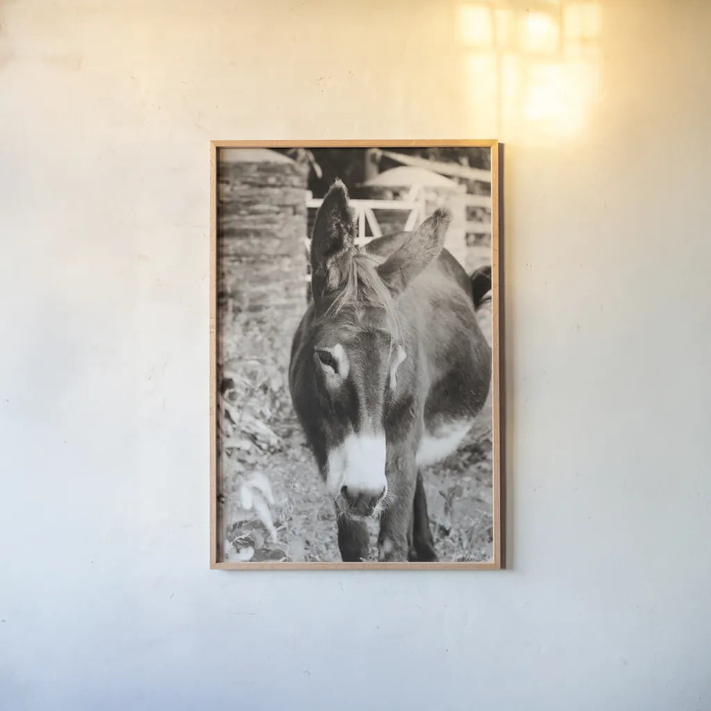 Cottage Donkey I by Deborah Revell. shown as a paper print in a natural frame. Available as a archival giclee rolled canvas, fine art paper, or poster print. SKU 100059h.