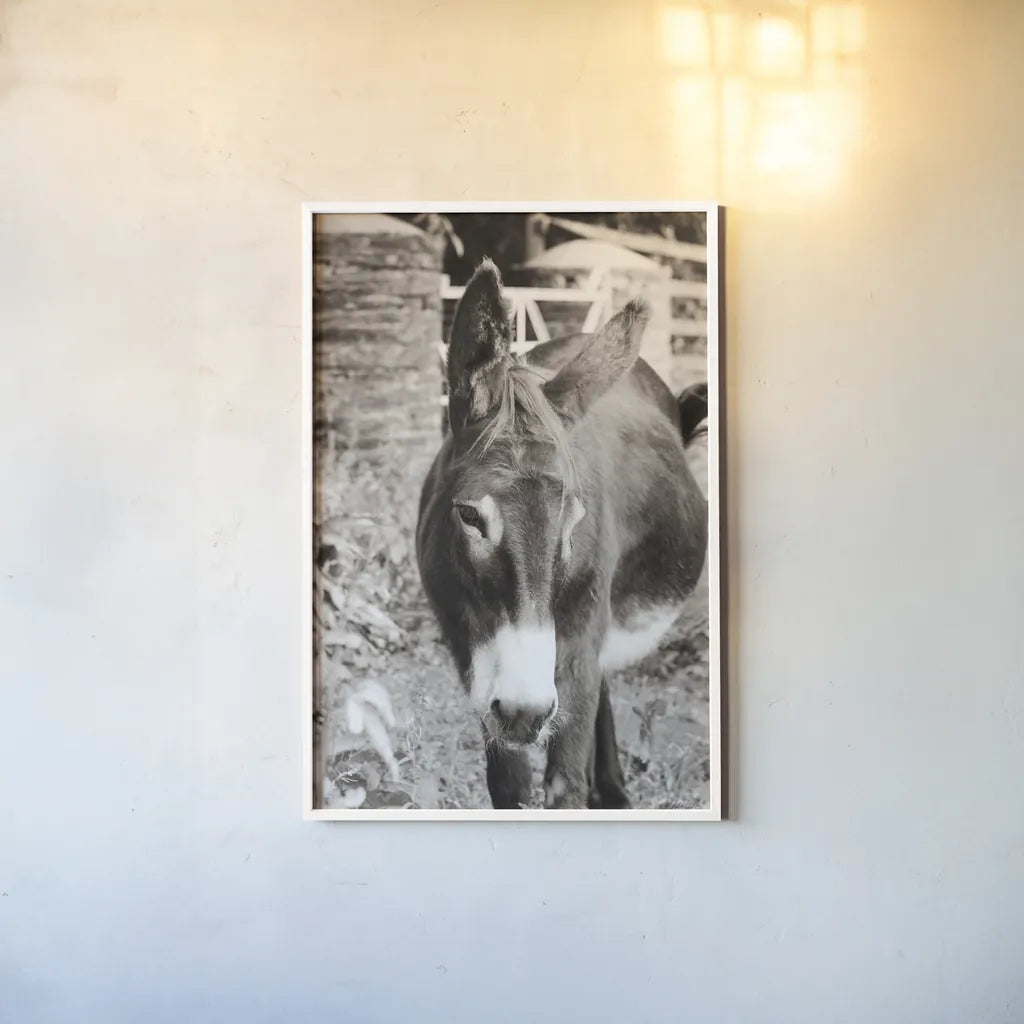 Cottage Donkey I by Deborah Revell. shown as a paper print in a white frame. Available as a archival giclee rolled canvas, fine art paper, or poster print. SKU 100059h.