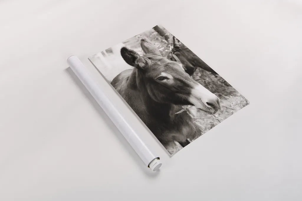 Cottage Donkey II by Deborah Revell. shown as a rolled paper print. Available as archival giclee rolled canvas, fine art paper, or poster print. SKU 100060h.