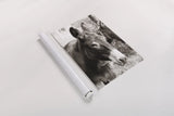Cottage Donkey II by Deborah Revell. shown as a rolled paper print. Available as archival giclee rolled canvas, fine art paper, or poster print. SKU 100060h.